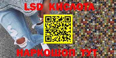 Альфа ПВП Кандалакша