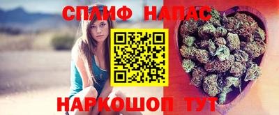 Альфа ПВП Кандалакша