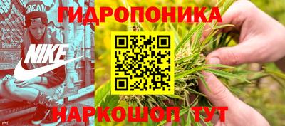 Альфа ПВП Кандалакша