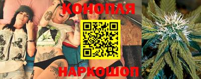 Альфа ПВП Кандалакша