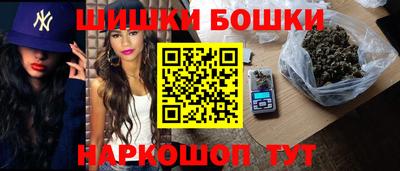 дмт Камышлов