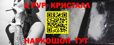 Альфа ПВП Кандалакша