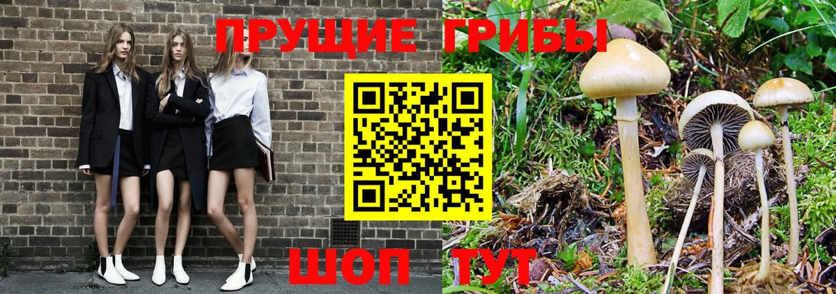 Галлюциногенные грибы мухоморы Чернушка