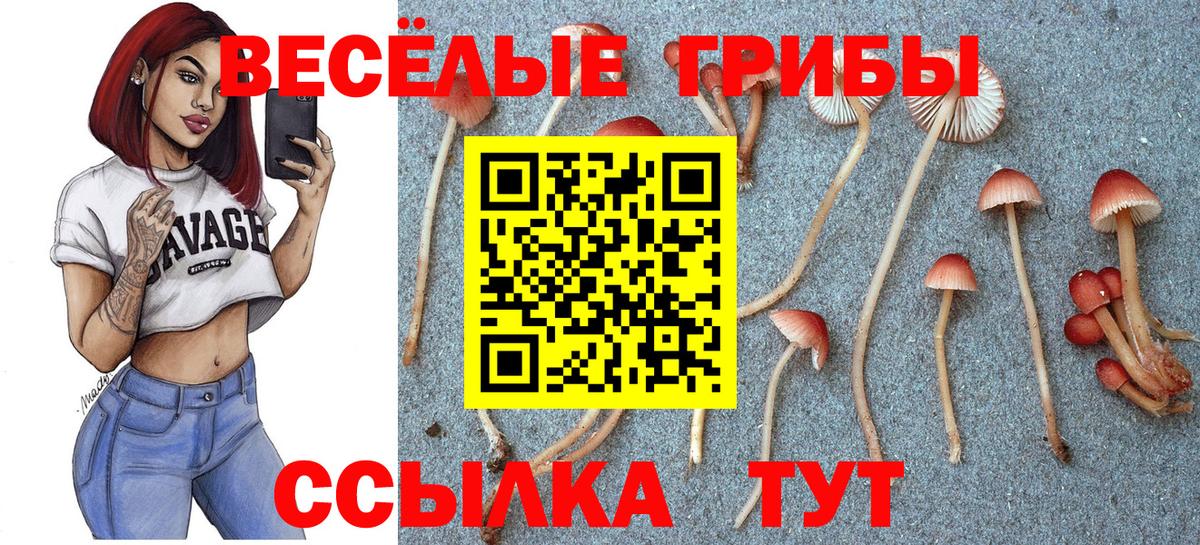 Чернушка  Галлюциногенные грибы прущие грибы  Псилоцибиновые грибы Psilocybine cubensis  Вход с VPN 